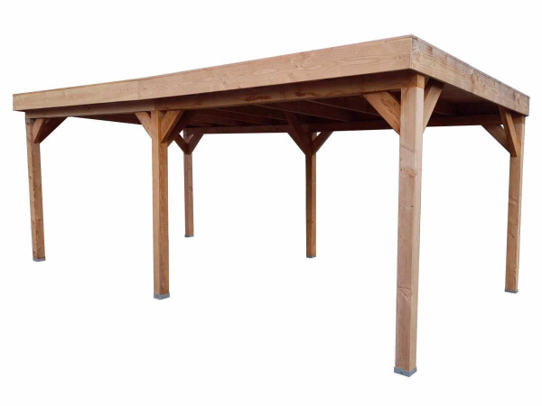 Douglas overkapping 600x300cm – foto 6 – kavel bij XL Auctions