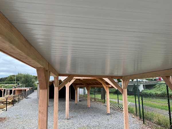 Douglas overkapping 500x400x245 cm – foto 5 – kavel bij XL Auctions