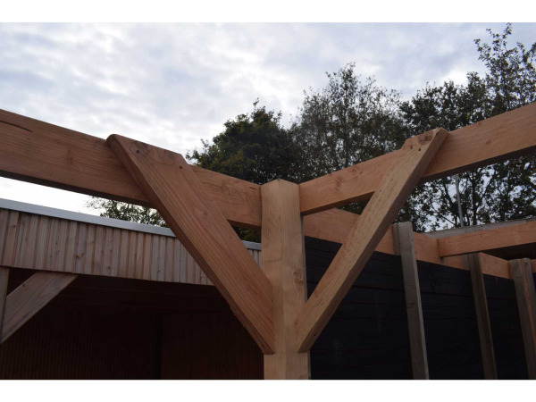 Douglas carport frame met berging 720x310x235 cm – foto 9 – kavel bij XL Auctions
