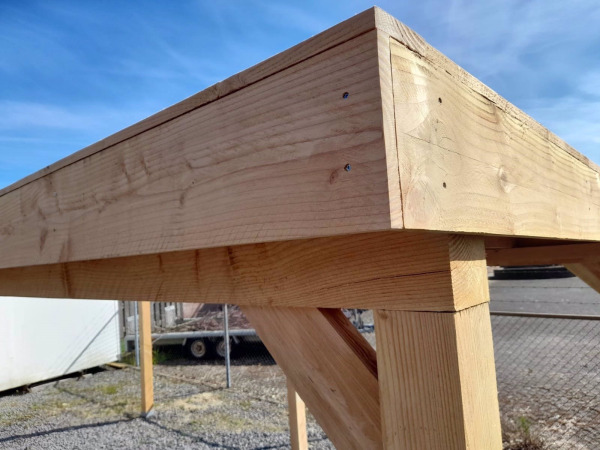 Douglas overkapping 400x400cm – foto 5 – kavel bij XL Auctions