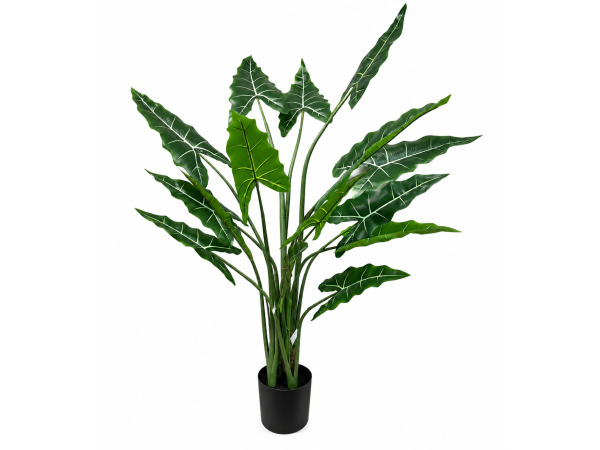 2x 175cm Real touch Alocasia tree x 15 lvs in 8" plastic pot