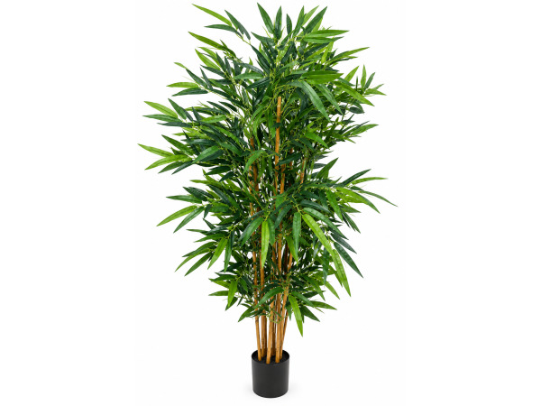 2x 180cm Real touch bamboo in plastic pot(Pot size:D170x146mm)