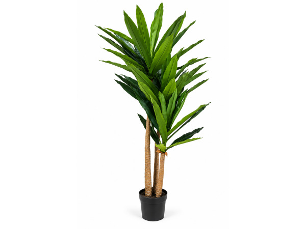 2x 210cm Palm tree x 27 lvs in plastic pot