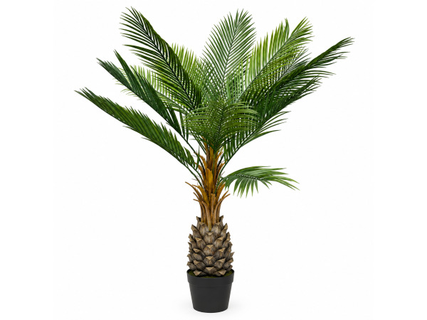 2x 150cm Palm tree x 12 lvs in plastic pot