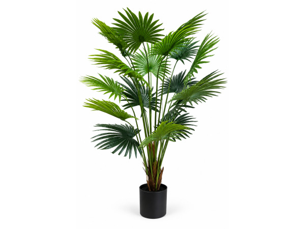 2x 180cm Real touch fan palm in plastic pot