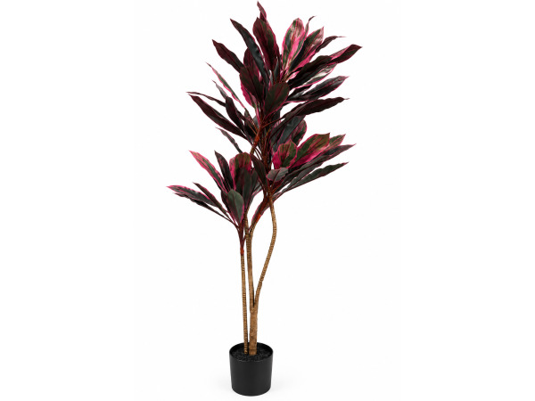 2x 185cm Real touch red dracaena in plastic pot