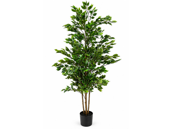 2x 210cm Real touch ficus in plastic pot