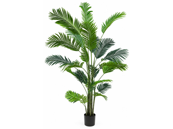 2x 180cm Real touch Butterfly Palm tree x 204 lvs, in pot