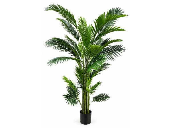 2x 240cm Real touch palm tree in plastic pot