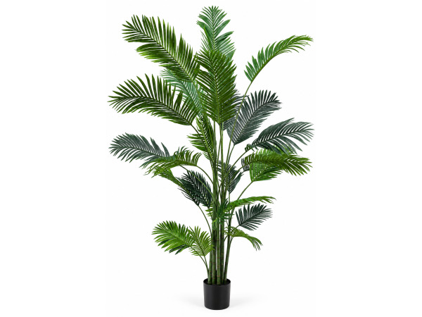 2x 225cm Real touch palm tree in plastic pot