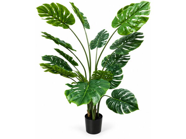 2x 160cm Real touch monstera x 15 lvs,in 8" pot