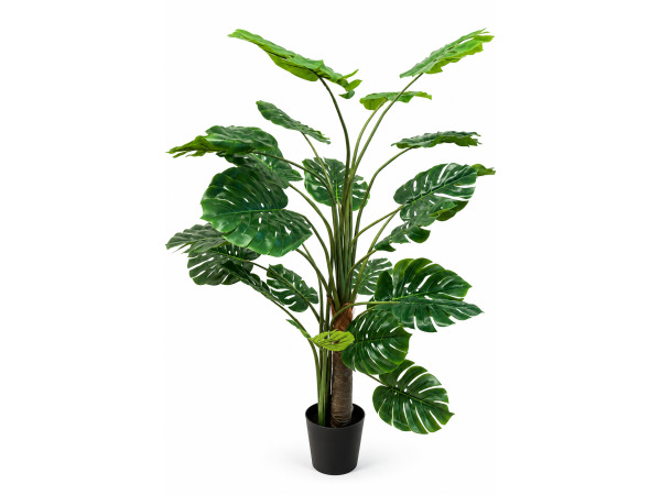 2x 210cm Real touch philodendron tree x 25 lvs, 9.5in pot