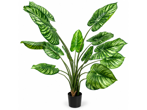 2x 165cm white-green philodendron tree x 15 lvs, 8in pot