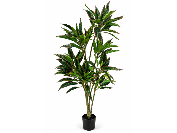 2x 160cm Real touch red side rohdea x 174 lvs in plastic pot