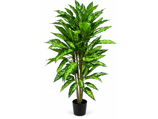 2x 160cm Real touch dieffenbachia x 174 lvs in plastic pot