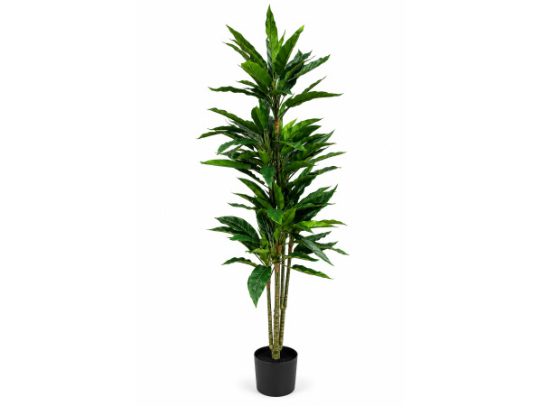 2x 145cm Real touch green rohdea x 134 lvs in plastic pot