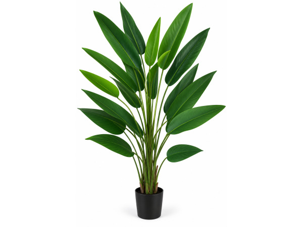 2x 175cm Real touch strelitzia tree x 26 lvs, plastic pot