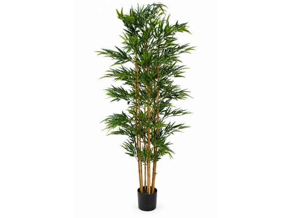 210cm Real touch bamboo in plastic pot(Pot size:D195x175mm)