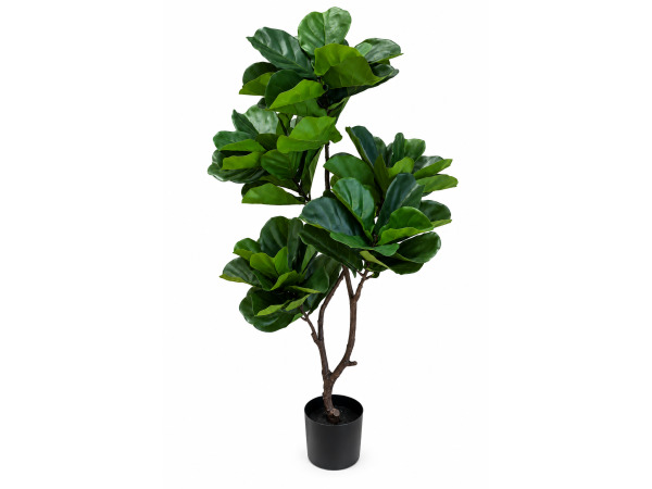 155cm Real touch fiddleleaf tree x 70 lvs in plastic pot