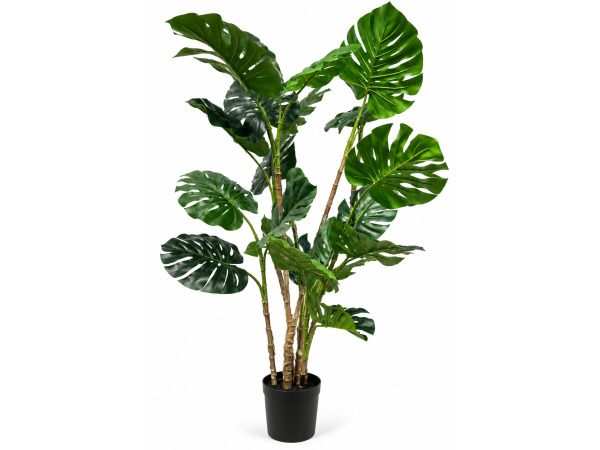 190cm Real touch monster in plastic pot