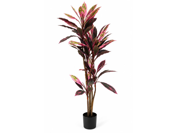200cm Real touch gree red racaena in plastic pot