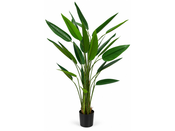 175cm Real touch strelitzia tree x 26 lvs, plastic pot