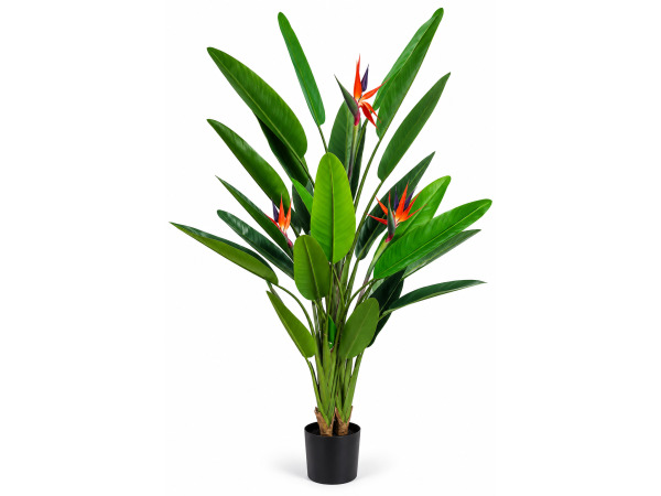 160cm Real touch strelitzia x 3 flowers & 24 lvs in pot
