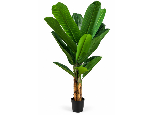 200cm Real touch banana tree in plastic pot