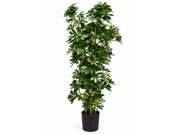 140cm Real touch schefflera tree in plastic pot
