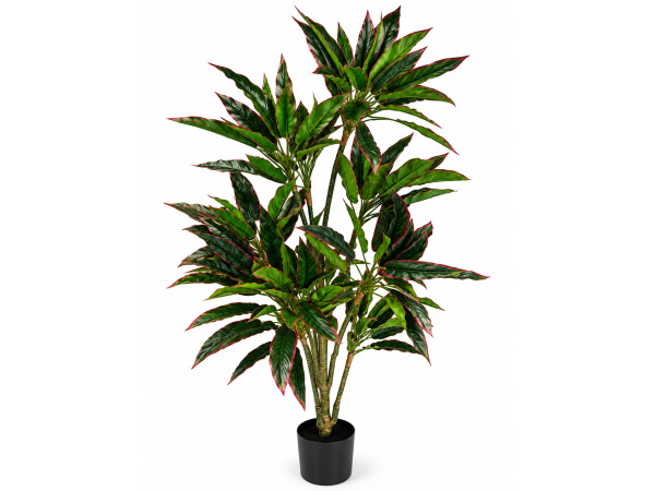 160cm Real touch red side rohdea x 174 lvs in plastic pot