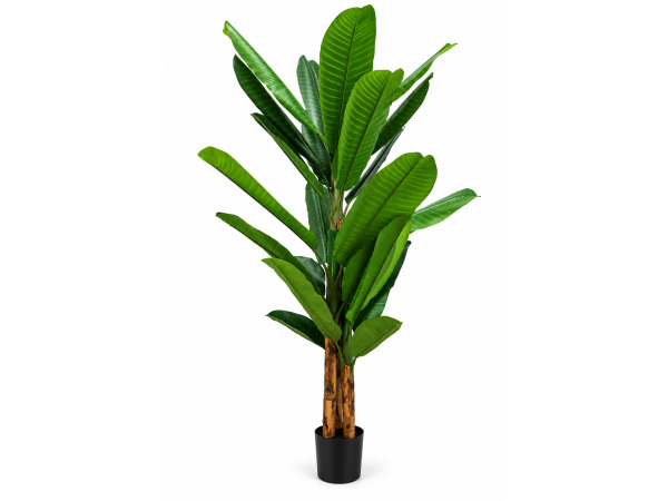 260cm Real touch banana tree in plastic pot