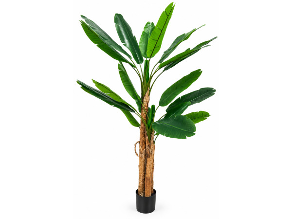 185cm Real touch banana tree x 22 lvs in plastic pot