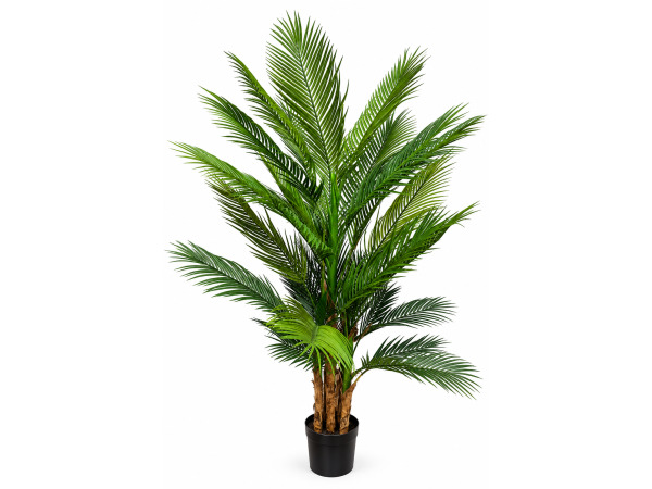 165cm Palm tree x 38 lvs in plastic pot