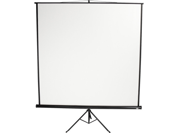 Beamerscherm - 203x203cm – kavel bij XL Auctions