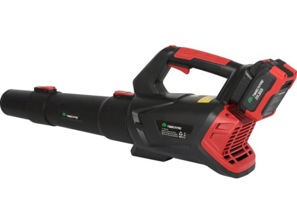 Bladblazer Elektrisch - 20V - 2Ah Batterij - Zwart – foto 4 – kavel bij XL Auctions