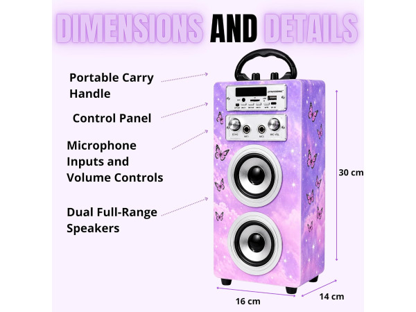 DYNASONIC Karaoke toren - Speaker - Bluetooth - USB – foto 5 – kavel bij XL Auctions