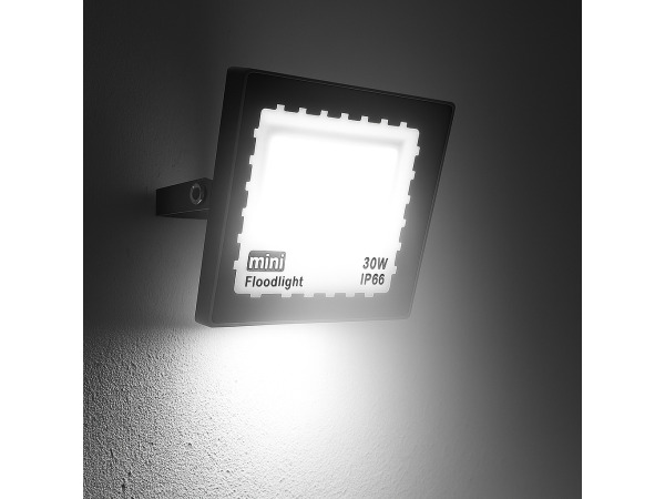 10x 10 x LED Schijnwerper MINI 30W – 6500K – IP65 – MINIONS-30 – kavel bij XL Auctions