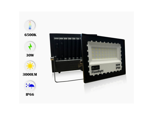 10x 10 x LED Schijnwerper MINI 30W – 6500K – IP65 – MINIONS-30 – foto 3 – kavel bij XL Auctions