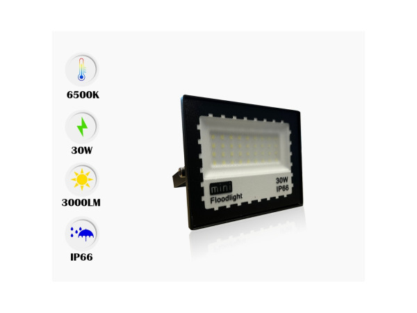10x 10 x LED Schijnwerper MINI 30W – 6500K – IP65 – MINIONS-30 – foto 4 – kavel bij XL Auctions