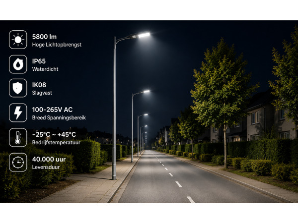 10x 10 x LED Straatlantaarn 50W – 6400K – Grijs – FLORIDA-50 – foto 4 – kavel bij XL Auctions