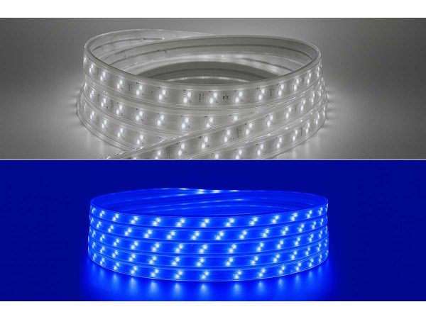 5x 5 x LED Strip – 25 Meter – 10W/m – Blauw & Koud Wit – kavel bij XL Auctions