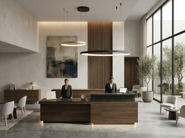 Hanglamp Zand Zwart en Goud 80cm&40cm Duo Ring 50W LED CCT 3 – foto 4 – kavel bij XL Auctions