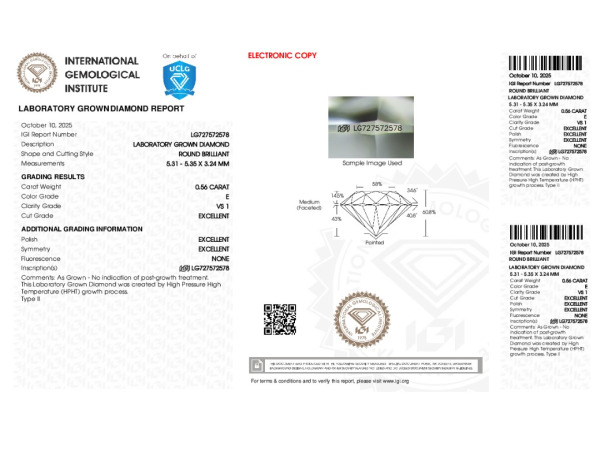 Wit gouden oorbellen met diamant 2 x 0,50 crt ( IGI ) – foto 7 – kavel bij XL Auctions