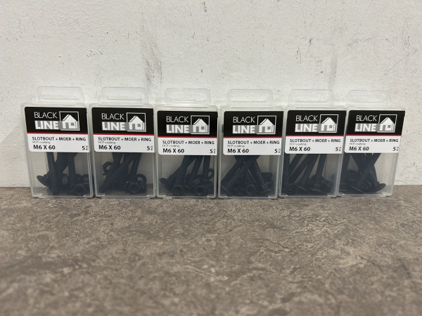 Blackline slotbouten met moer en sluitring set 48-delig – foto 6 – kavel bij XL Auctions