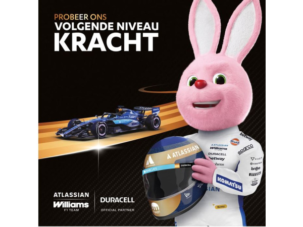 Duracell Optimum AA batterijen - 1,5V, LR6 - 12 stuks – foto 2 – kavel bij XL Auctions