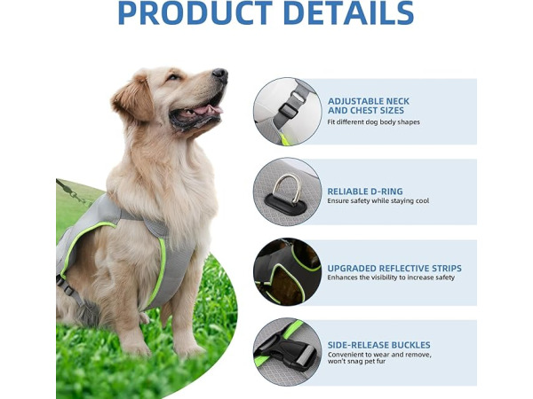 Koelvest voor honden (XXL) – foto 4 – kavel bij XL Auctions