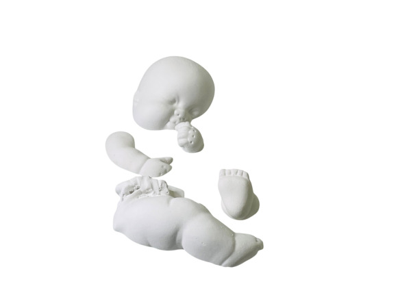 Artistiek Design | 3D Baby Sculptuur – foto 2 – kavel bij XL Auctions
