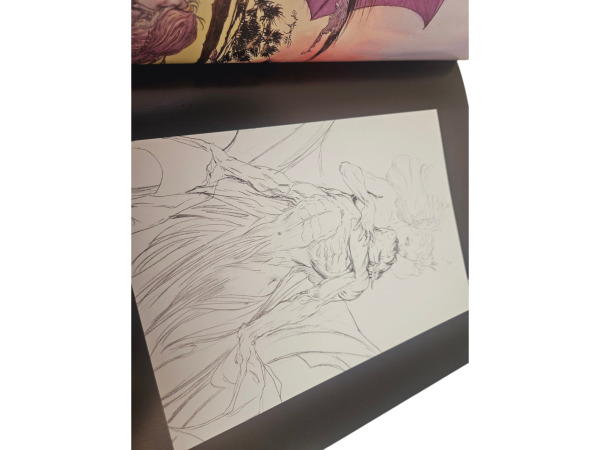 Riedel | Kaluta Art Book Michael Kaluta – foto 8 – kavel bij XL Auctions