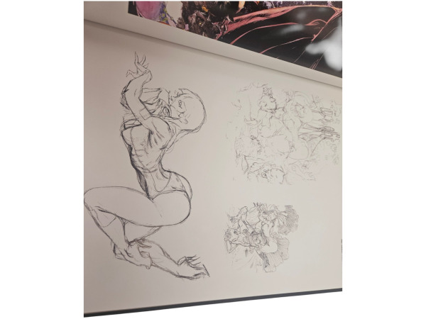 Riedel | Kaluta Art Book Michael Kaluta – foto 10 – kavel bij XL Auctions