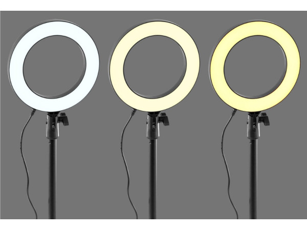 Vonyx RL20 ringlamp – foto 3 – kavel bij XL Auctions